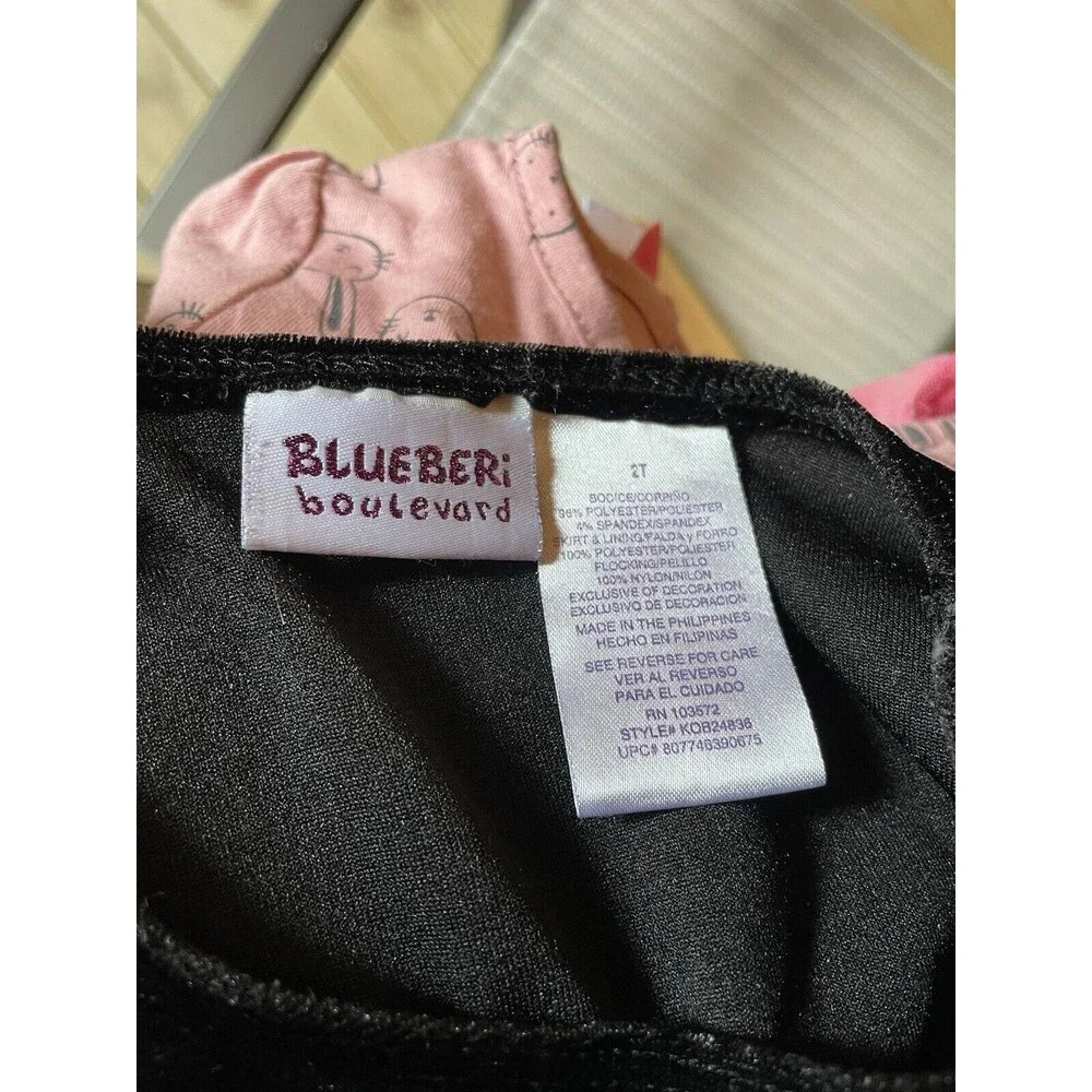 Blueberi Boulevard Dress Girls Size 2T Black Red Velvet Organza